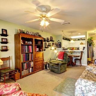 A cozy living room with bookshelves, comfortable seating, and decorative elements.