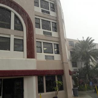 A view of a multi-story building framed by palm trees in rainy weather.
