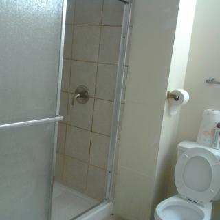 A bathroom with a tiled shower and a toilet.