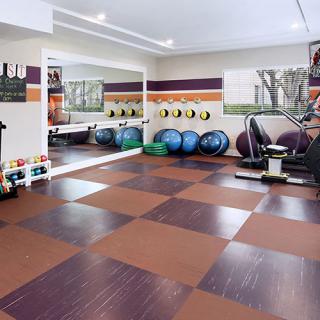 A well-equipped gym with various fitness equipment including exercise balls, a treadmill, and dumbbells.