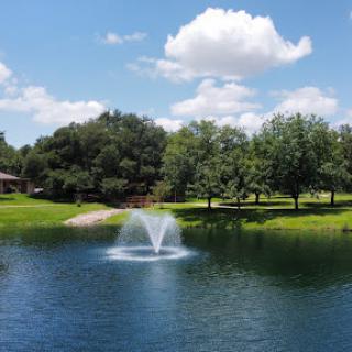 A serene park scene featuring a fountain in a tranquil pond, surrounded by lush greenery and blue skies.