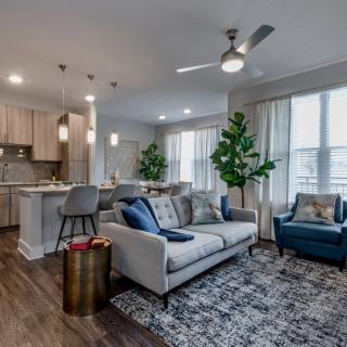 A modern open-concept living room and kitchen area with stylish furnishings, indoor plants, and wood flooring.