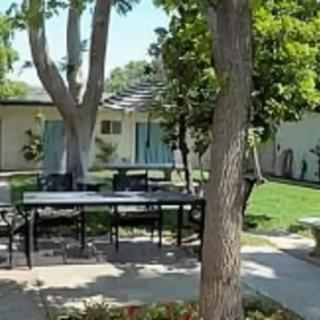 A sunny garden with outdoor furniture and trees.