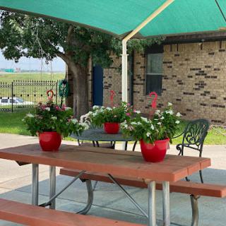 A peaceful outdoor seating area featuring a picnic table adorned with vibrant flower pots under a green canopy.