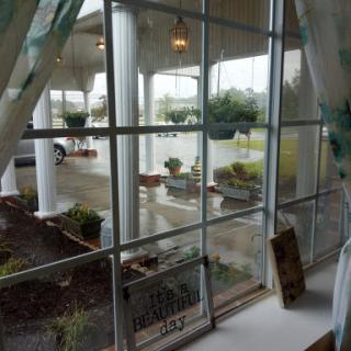 A view through the window of a restaurant showcasing plants and natural light.