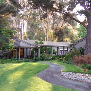 A serene house surrounded by lush greenery and tall trees, with a curved pathway leading to the entrance.