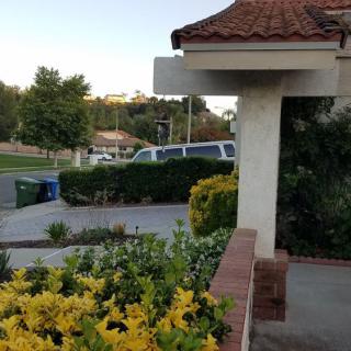 A quiet suburban street with a house surrounded by a well-maintained garden and driveway.