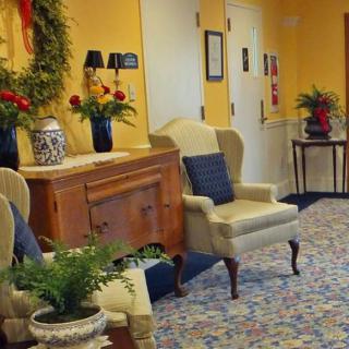 A warmly decorated room with yellow walls, featuring comfortable seating and plant accents.