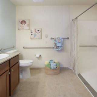 An accessible bathroom with a shower, toilet, and sink, featuring grab bars for support.