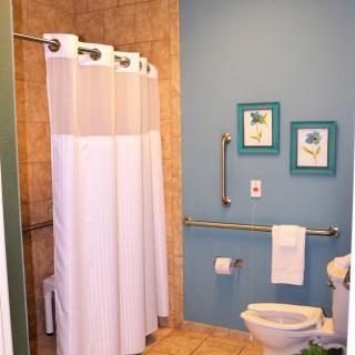 An accessible bathroom featuring a shower with a curtain, grab bars near the toilet, and decorative wall art.