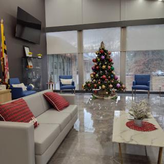 A cozy living room setting beautifully decorated for the Christmas season.
