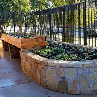 A serene outdoor garden area with raised planter boxes and a stone-bordered garden bed alongside a paved walkway.
