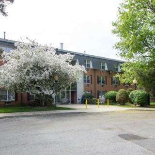 A residential building surrounded by blooming trees in springtime.
