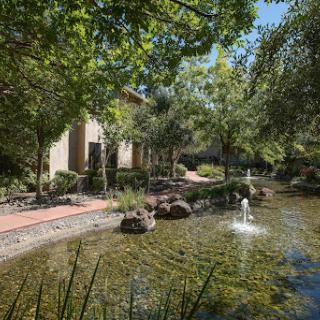 A serene park featuring a tranquil pond with a fountain, surrounded by lush greenery.