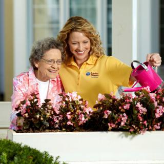 Comfort Keepers of Jackson,  TN