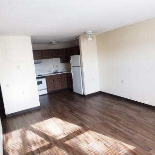 An empty apartment with a hardwood floor, featuring a small kitchen area and sunlight streaming through the windows.