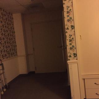 A dimly lit hallway with floral wallpaper.