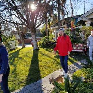 A group of people walking in a garden with a small dog during a sunny day.