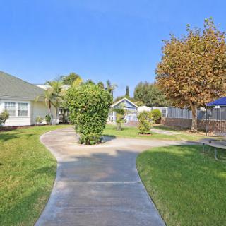 A serene pathway winding through a sunny garden with lush greenery and bright blue skies.