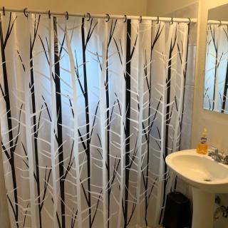 A bathroom featuring a shower curtain with a tree branch design and a white sink with a mirror.