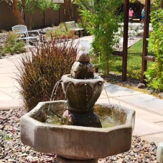 A serene fountain surrounded by lush greenery in a sunny garden.