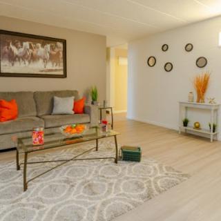 A beautifully designed living room featuring modern furniture, warm accents, and stylish decor elements.