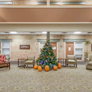 A lobby featuring a Christmas tree surrounded by pumpkins, with chairs and a couch arranged around it.