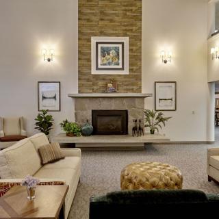 A modern living room featuring a central fireplace, comfortable sofas, and elegant decor.