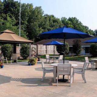 A serene outdoor patio with tables, chairs, and umbrellas surrounded by greenery.