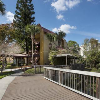 A scenic view featuring a pathway leading towards a building surrounded by lush greenery.