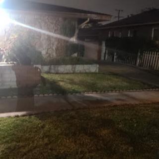 A nighttime view of a house with a well-kept yard illuminated by outdoor lighting.