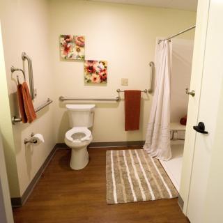 A well-lit bathroom with a toilet, shower, and decorative touches.