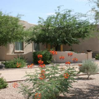 A house set in a desert landscape featuring xeriscape design with flowering shrubs and trees.