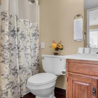 A clean and tidy bathroom with a toilet, sink, and decorative shower curtain.