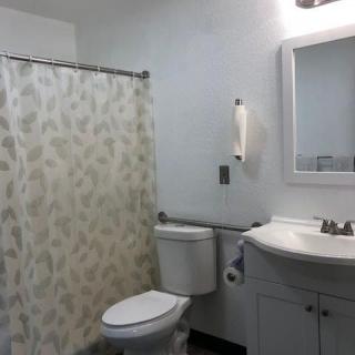 A bathroom with a shower curtain, toilet, and sink with a mirror.