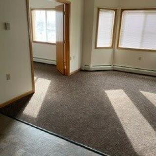An empty room with carpeted flooring and sunlight streaming through multiple windows.