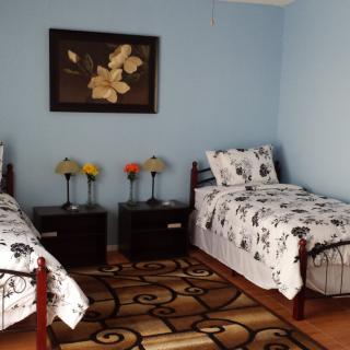 A cozy bedroom with two single beds adorned with floral bedding, flanked by matching nightstands and lamps against serene blue walls.