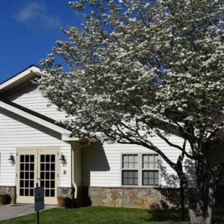 A white house with blooming tree branches under a clear blue sky.