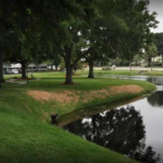 A peaceful park scene with a small lake surrounded by lush trees and green grass.
