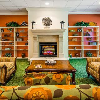 A cozy living room with a central fireplace, surrounded by bookshelves and colorful furniture.