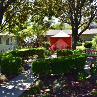 A serene garden with a pathway, surrounded by trimmed bushes and trees, leading to a red tent.