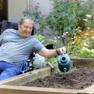 An elderly man enjoys gardening as he waters a raised garden bed from his wheelchair.