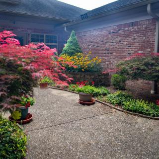 A serene courtyard garden featuring vibrant foliage and neatly arranged potted plants against a brick wall.