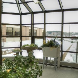 A cozy indoor greenhouse with various plants and a view of the snowy urban landscape outside.