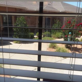 A view through horizontal blinds into a well-maintained garden area.
