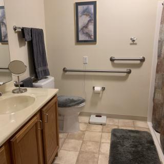 A tidy bathroom with a sink, toilet, and shower, featuring handrails for accessibility and decorative elements.