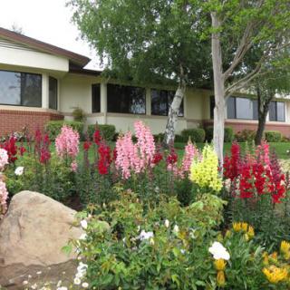A vibrant garden with blooming flowers in front of a house.
