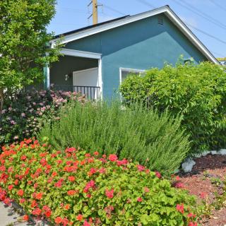 A charming house surrounded by a lush garden with vibrant flowers and greenery.