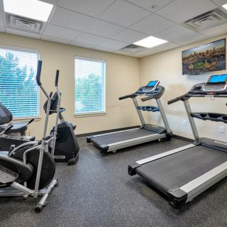 A small gym with treadmills and elliptical machines by the window.
