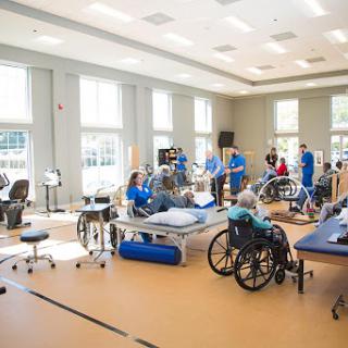 A vibrant rehabilitation center where patients engage in various therapy activities with the support of healthcare professionals.